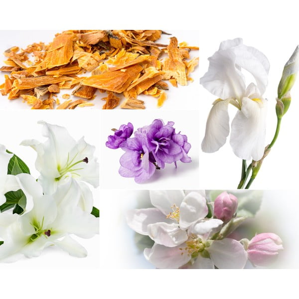 Illatos szójaviasz gyertya égési idő 60 ó Muscs Poudres – Privé Home-image-2