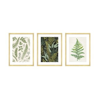 Kép szett 3 db-os 30x40 cm Fern – knor