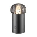 USB hordozható dimmelhető LED  kültéri lámpa ø 10 cm Iris – Blomus