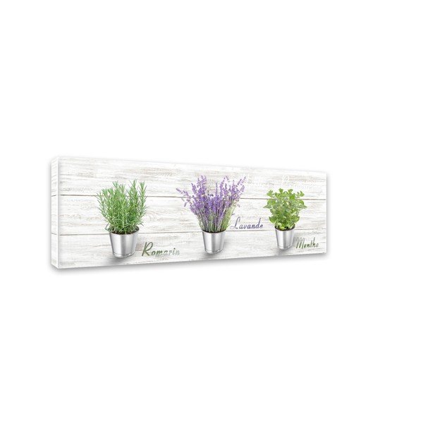Canvas Shabby Herbs fali kép, 27 x 75 cm - Styler-image-2