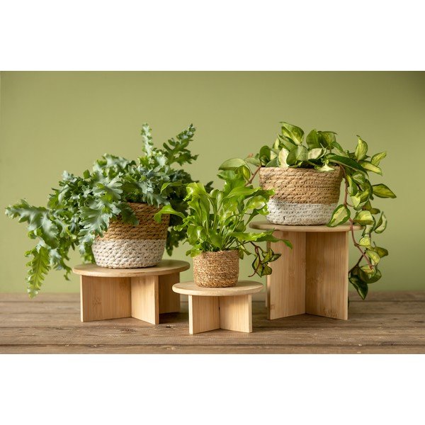 Bambusz virágtartó állvány ø 25 cm (magasság 19,5 cm) – Esschert Design-image-3