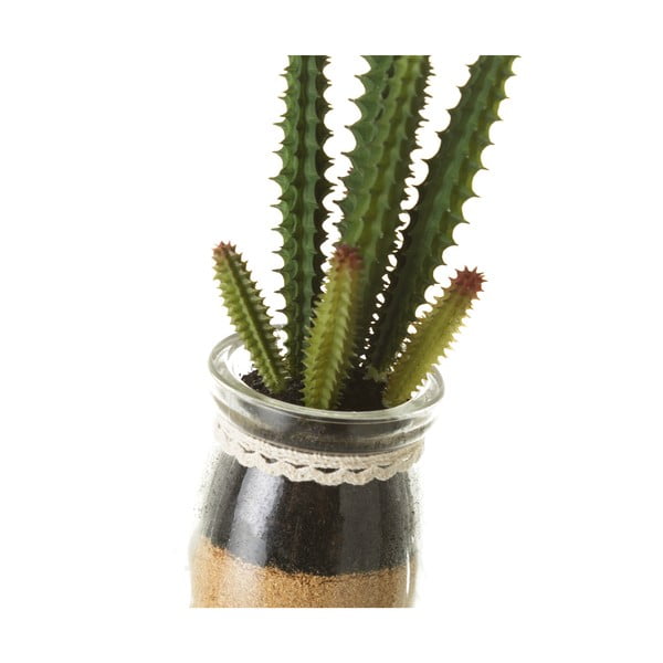 Műnövény szett 4 db-os (magasság 18 cm) Cactus – Casa Selección-image-1