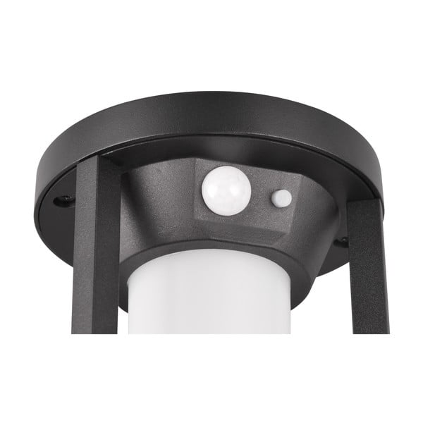 LED kültéri lámpa mozgásérzékelővel (magasság 25 cm) Carmo – Trio-image-2