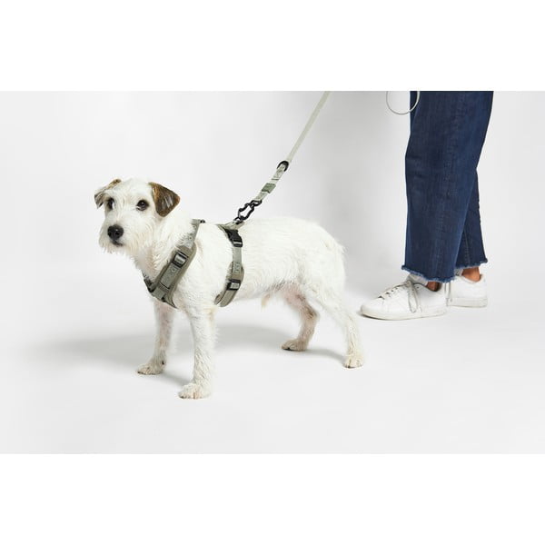 Zöld hám S hosszúság 30 cm Modena Grolive S – MiaCara-image-2