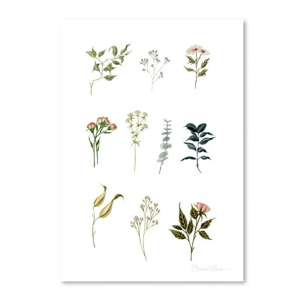 Delicate Botanica Lpieces by Shealeen Louise 30 x 42 cm-es plakát