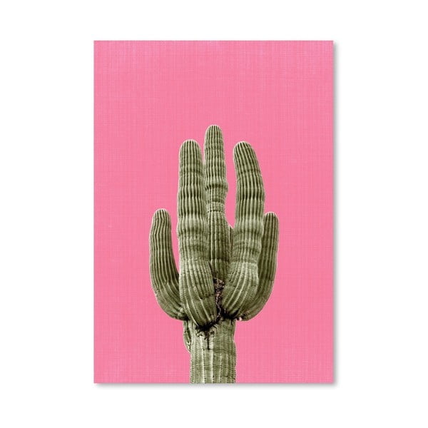 Cactus On Pink poszter - Americanflat