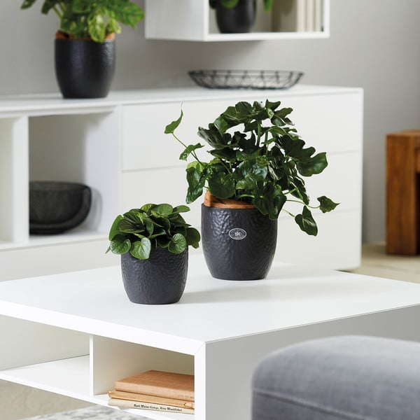 Kerámia kaspó ø 27 cm Boston Mate - Big pots-image-1