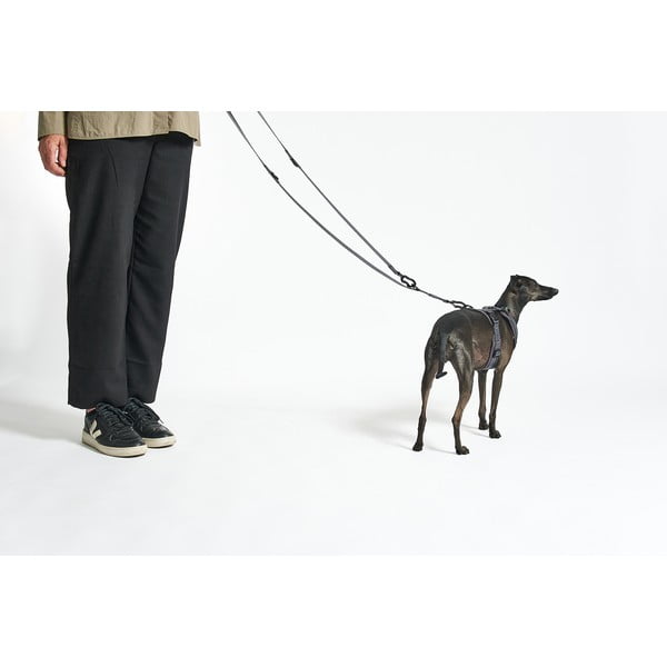 Bézs kapcsos póráz hosszúság 200 cm Modena Greige 20 mm – MiaCara-image-2