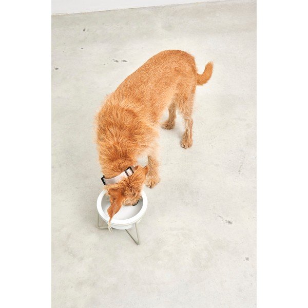 Porcelán tálka állvánnyal kutyáknak ø 20 cm Pranzo Greige M – MiaCara-image-4