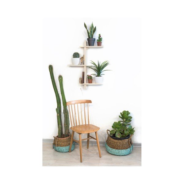 Natural ciprusfa virágtartó polc - Really Nice Things-image-2