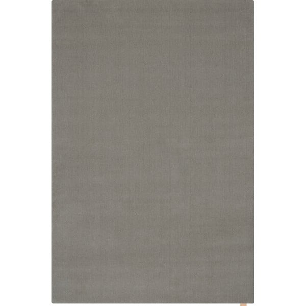 Szürke gyapjú szőnyeg 200x300 cm Calisia M Smooth – Agnella