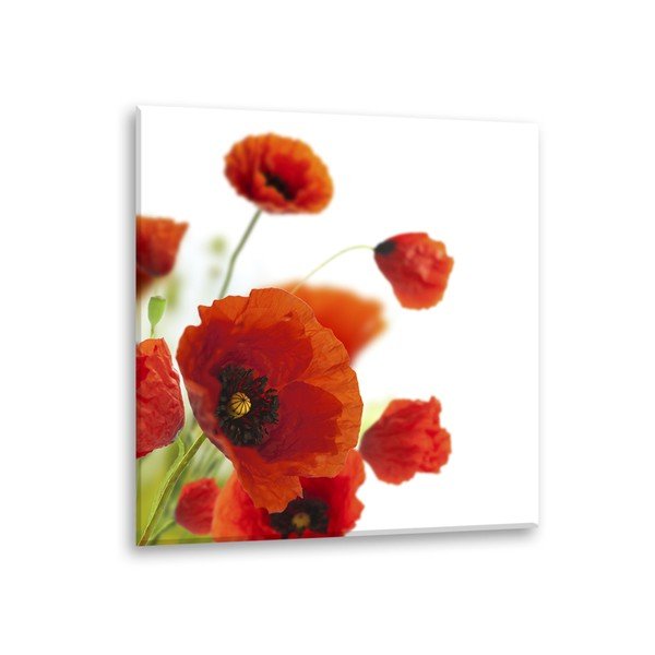 Glas Maki Poppies kép, 30 x 30 cm - Styler-image-2