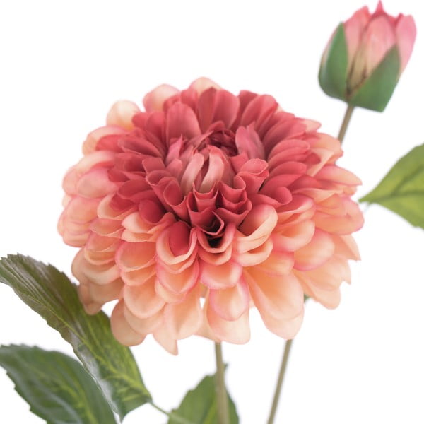 Művirág szett 10 db-os (magasság 62 cm) Dahlia – Restilo-image-2