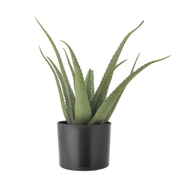 Műnövény (magasság 61 cm) Aloe – Bloomingville