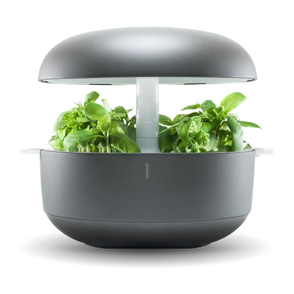 6 Smart Garden Grey szürke intelligens beltéri kert - Plantui