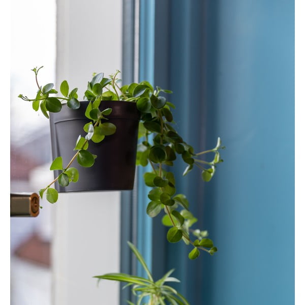 Műanyag függő és fali virágcserép készlet 2 db-os ø 10 cm – Esschert Design-image-4