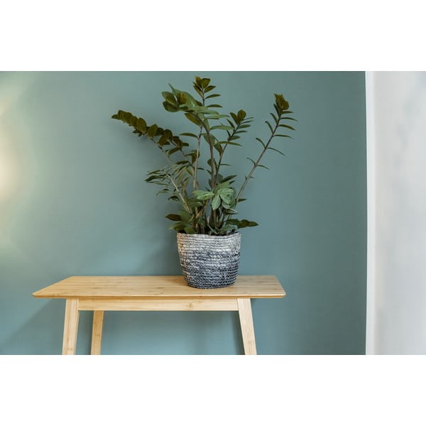 Tengerifű tárolókosár Coppitella – Wenko-image-3