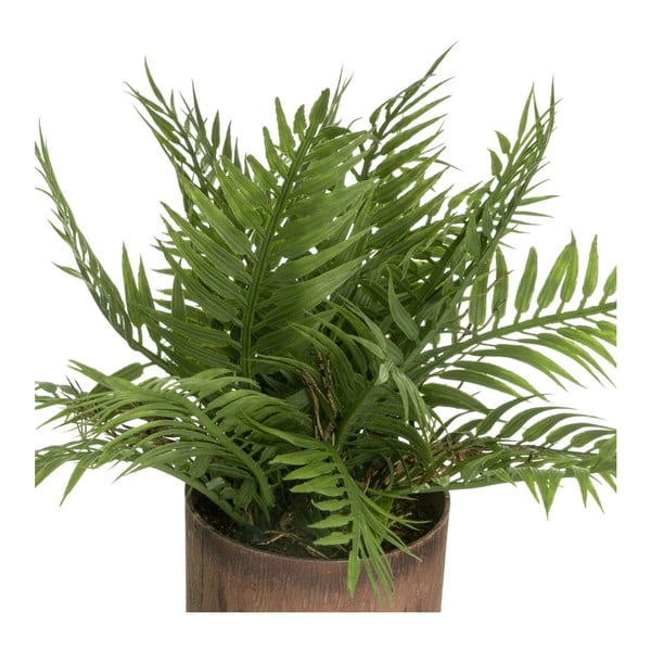 Műnövény szett 2 db-os (magasság 22 cm) – Casa Selección-image-2