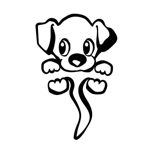 Cut Dog falmatrica - Ambiance-image-2