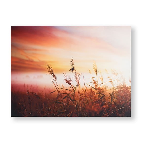 Morning Sunrise Meadow kép, 80 x 60 cm - Graham & Brown