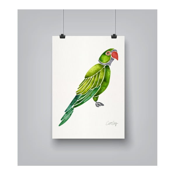 Parrot by Cat Coquillette 30 x 42 cm-es plakát