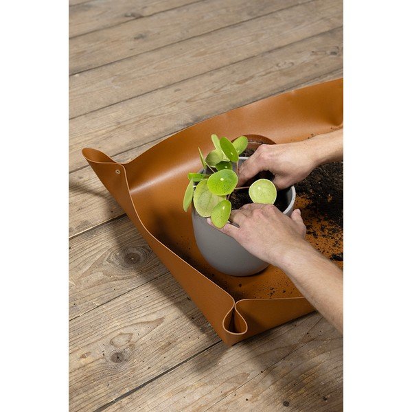 Átültető alátét – Esschert Design-image-3