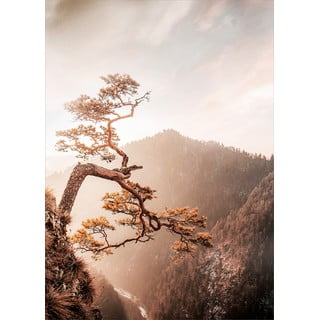 Üveg kép 50x70 cm Brown Tree – Styler