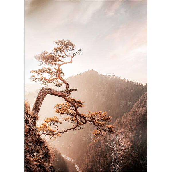 Üveg kép 50x70 cm Brown Tree – Styler
