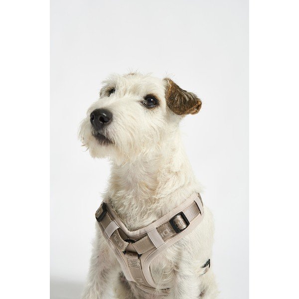 Bézs hám L hosszúság 42 cm Modena Greige L – MiaCara-image-1