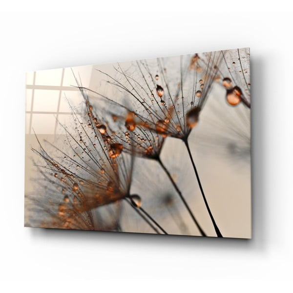 Cinnamon Dandelion üvegkép, 72 x 46 cm - Insigne