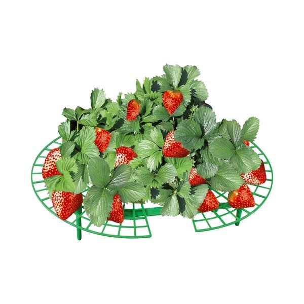 Növénytartó készlet  5 db-os – Maximex-image-2