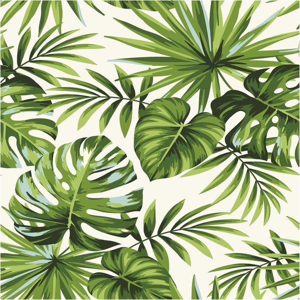 Pisco falmatrica, 40 x 40 cm - Ambiance-image-2