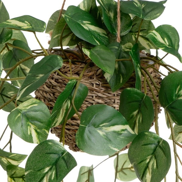 Műnövény szett 2 db-os (magasság 50 cm) – Casa Selección-image-1