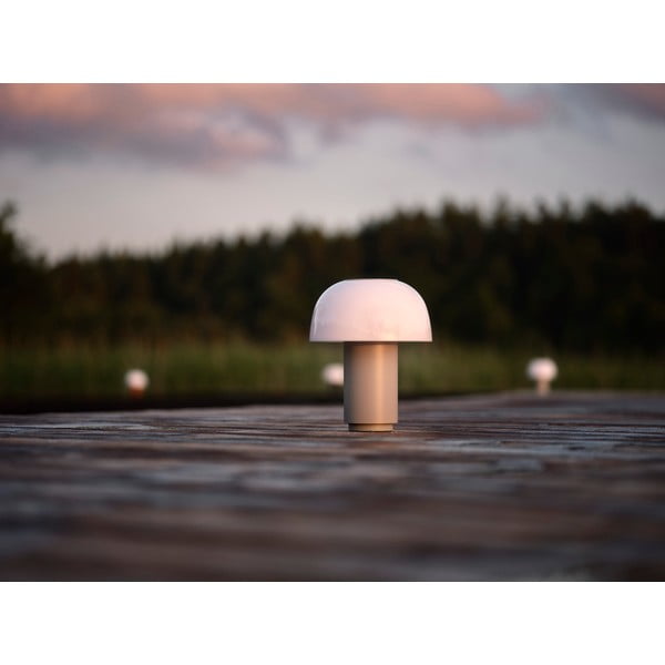 Szürke alumínium LED dimmelhető asztali lámpa (magasság 22 cm) Harvest – Zone-image-4