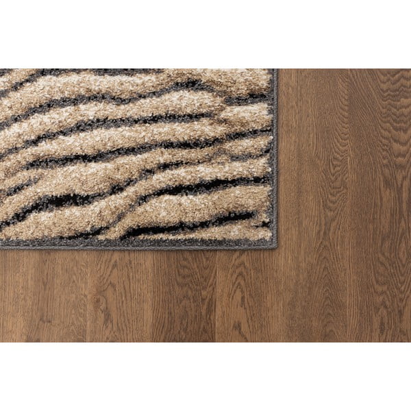 Barna szőnyeg 160x220 cm Avanti – FD-image-3