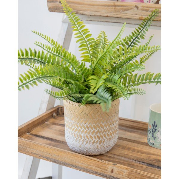 Ombré tengerifű kaspó - Kitchen Craft-image-1