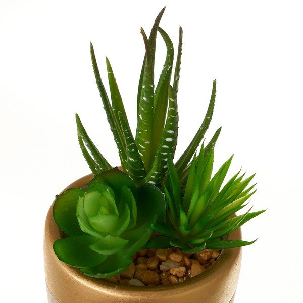 Műnövény szett 4 db-os (magasság 17 cm) Cactus – Casa Selección-image-2