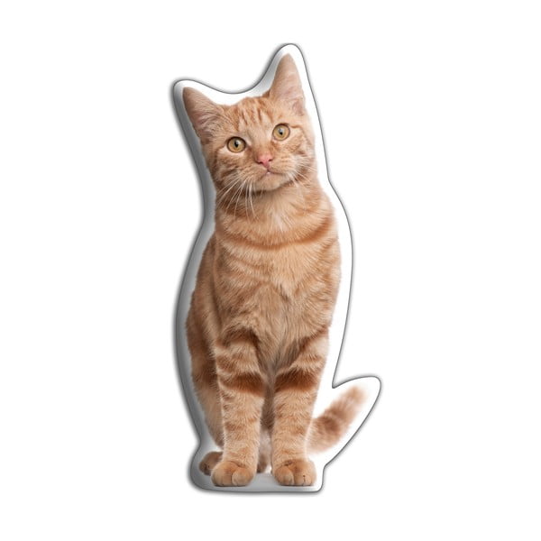 Vörös macska párna - Adorable Cushions