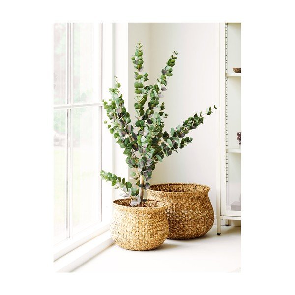 Tengerifű virágcserép készlet 2 db-os ø 46 cm Eden – House Nordic-image-2