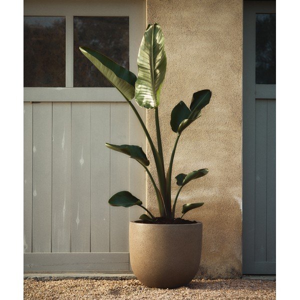 Cement kaspó szett 2 db-os ø 44 cm Selvi – Kave Home-image-1