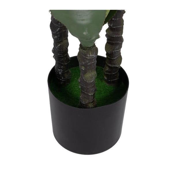 Műnövény (magasság 120 cm) Agave – Ixia-image-1