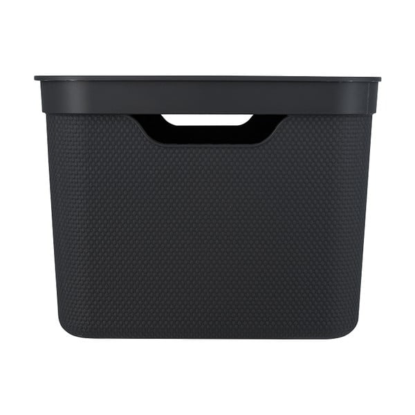 Műanyag tárolódoboz fedéllel Deco - Rotho-image-2