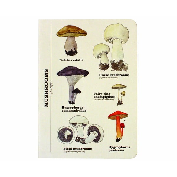 Multi Mushroom jegyzetfüzet, A6 méret - Gift Republic
