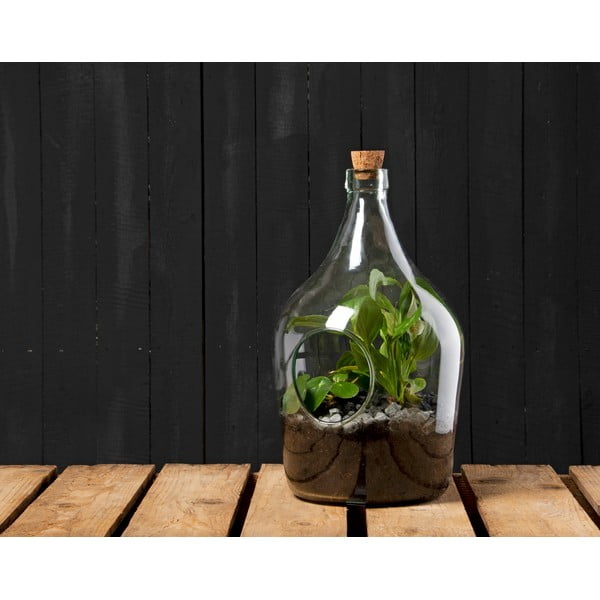 Üveg növényterrárium ø 20 cm – Esschert Design-image-1
