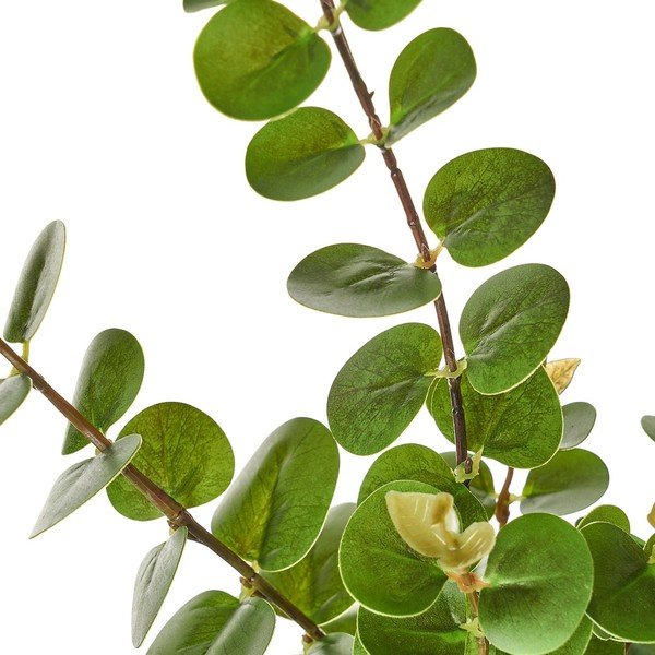 Művirág – Casa Selección-image-2