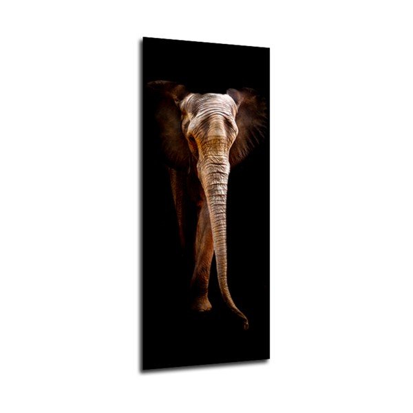 Elephant kép, 125 x 50 cm - Styler-image-1