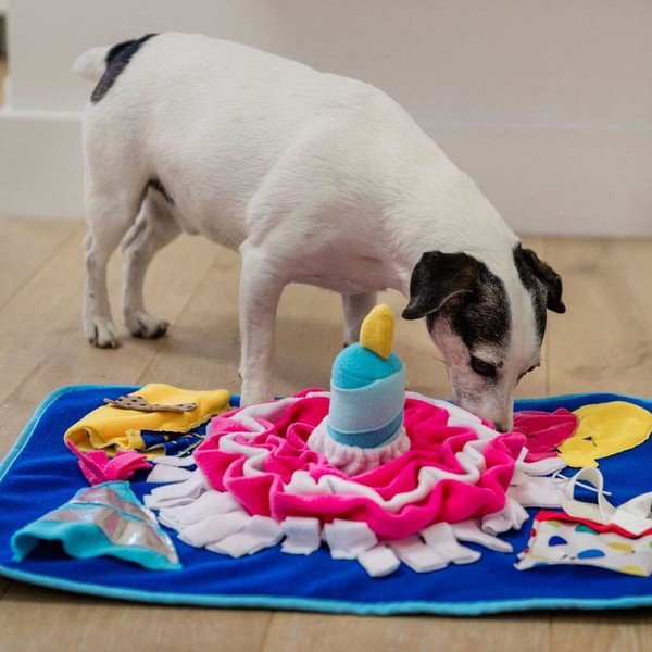 Szagolós takaró Pawty – P.L.A.Y.-image-1