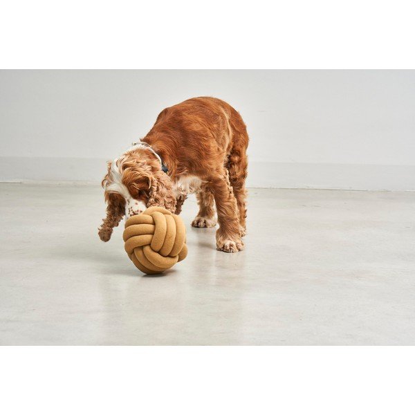 Kutyajáték Tubo Curry – MiaCara-image-1