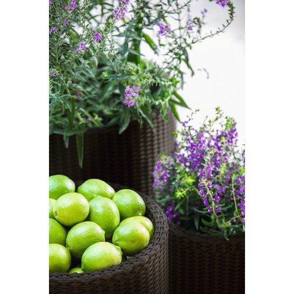 Műanyag virágcserép készlet 3 db-os ø 43 cm Cylinder – Keter-image-1