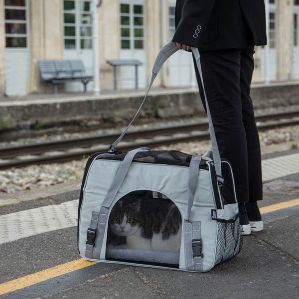 Kisállat hordozó táska 25,5x48 cm – Love Story-image-1